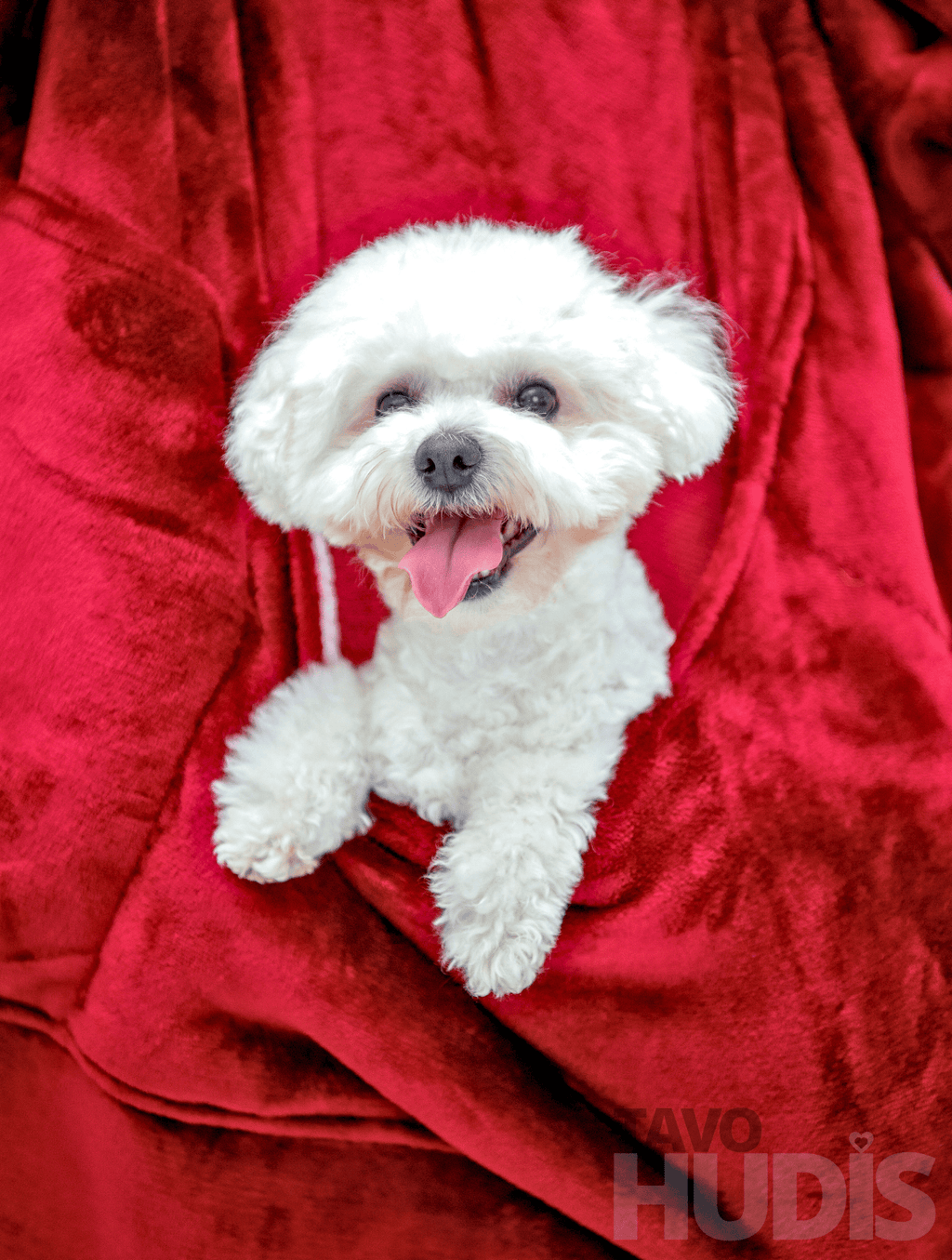 Red Kangaroo Blanket Hoodie